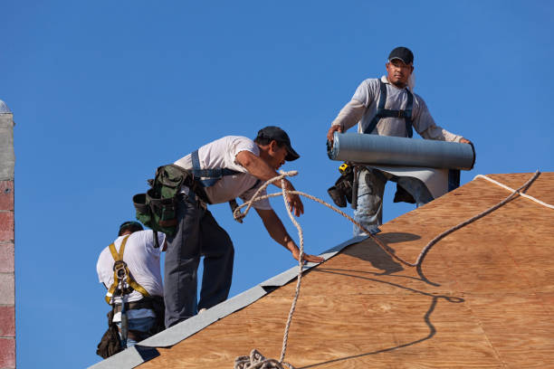 Best Gutter Installation and Roofing  in Harrison, WI