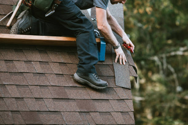 Best Metal Roofing Contractor  in Harrison, WI